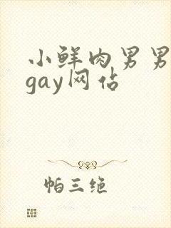 小鲜肉男男同性gay网站