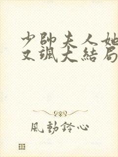 少帅夫人她又美又飒大结局封面