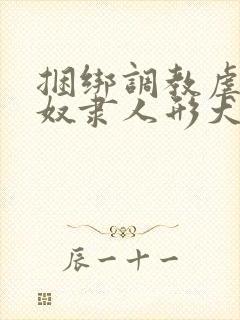 捆绑调教虐待性奴隶人形犬母狗小说