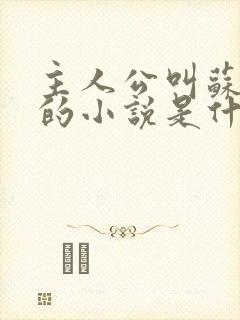 主人公叫苏软软的小说是什么名字