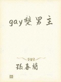 gay双男主封面
