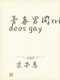 青春男同xvideos gay封面
