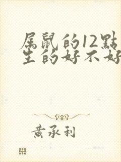 属鼠的12点出生的好不好封面