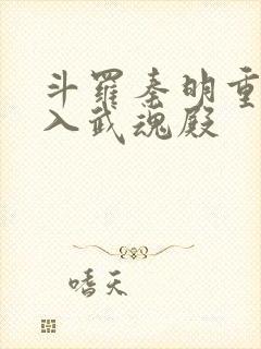 斗罗秦明重生加入武魂殿