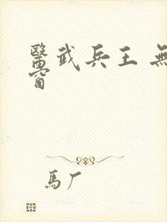 医武兵王 无弹窗