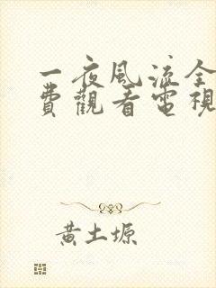 一夜风流全集免费观看电视剧西瓜