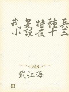 我是特种兵杨洛小说夜十三封面