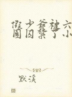 假少爷被六个哥团囚禁了小说