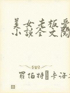 美女老板爱上我小说全文阅读