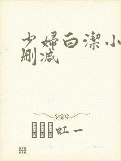 少妇白洁小说无删减