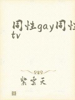 同性gay同性tv封面