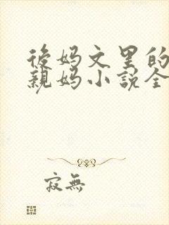 后妈文里的短命亲妈小说全文免费阅读封面