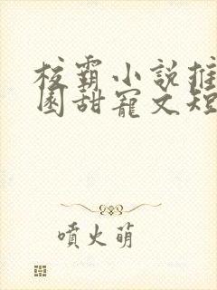 校霸小说推荐校园甜宠文短篇