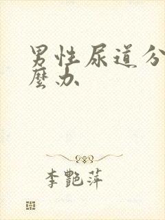 男性尿道分叉怎么办