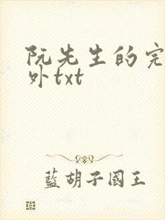 阮先生的完结番外txt封面