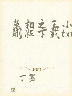 万相之王小说未删版下载txt封面
