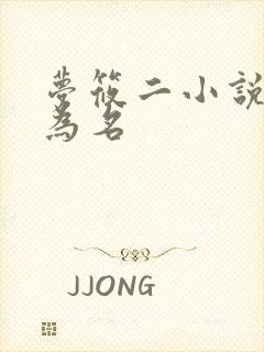 梦筱二小说以爱为名