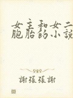 女主和女二是双胞胎的小说