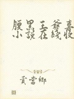 腹黑王爷喜当爹小说在线收听