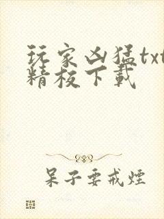 玩家凶猛txt精校下载