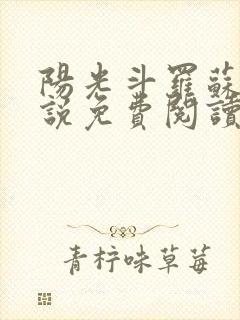 阳光斗罗苏墨小说免费阅读无弹窗封面