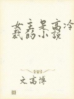女主是高冷女总裁的小说