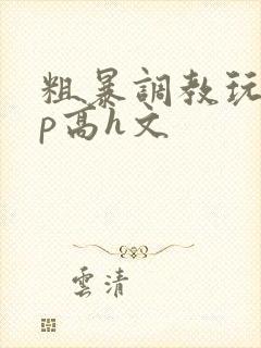 粗暴调教玩弄np高h文