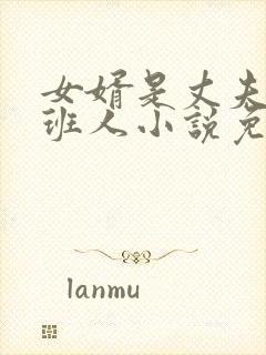 女婿是丈夫的接班人小说免费阅读