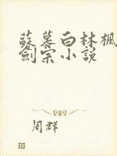 苏慕白林枫神霄剑宗小说