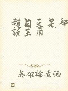 赵日天是哪本小说主角