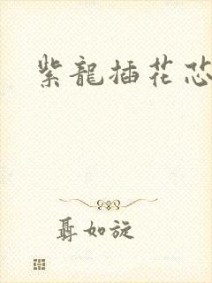 紫龙插花芯方正