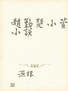 赵勤楚小萱原著小说