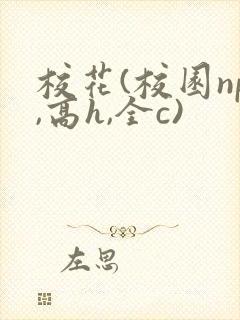 校花(校园np,高h,全c)