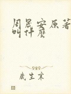 周晟安原著小说叫什么