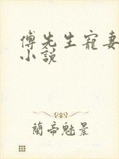 傅先生宠妻无度小说