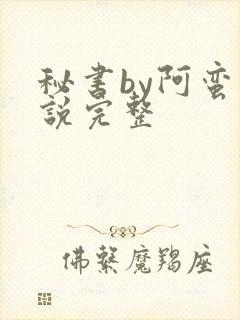秘书by阿蛮小说完整