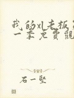 我的xl老板第一季免费观看全集封面