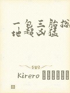 一包三胎总裁爹地超凶猛