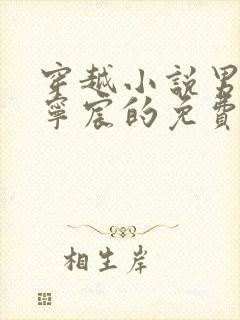 穿越小说男主叫宁宸的免费阅读