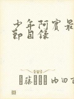 少年阿宾最新章节目录