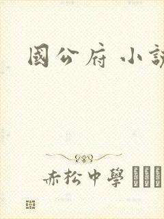 国公府 小说