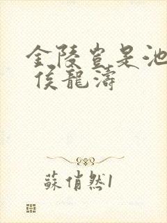 金陵岂是池中物 侯龙涛封面