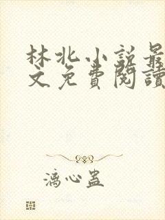 林北小说最新全文免费阅读