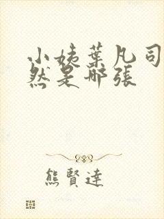 小姨叶凡司徒嫣然是哪张