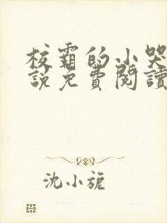 校霸的小哭包小说免费阅读在线