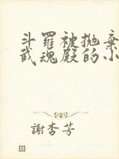 斗罗被抛弃加入武魂殿的小说封面