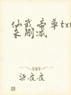 仙武帝尊txt未删减