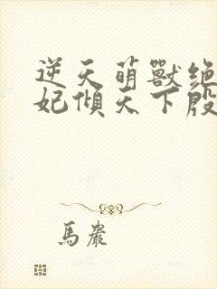 逆天萌兽绝世妖妃倾天下殷念封面