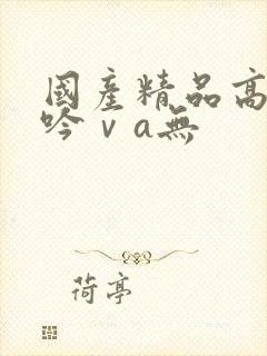 国产精品高潮呻吟ⅴa无封面