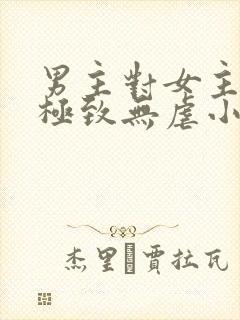 男主对女主宠到极致无虐小说